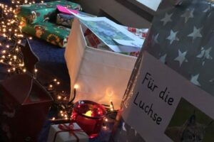 Nikolaus