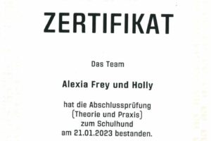Zertifikat Schulhund Holly