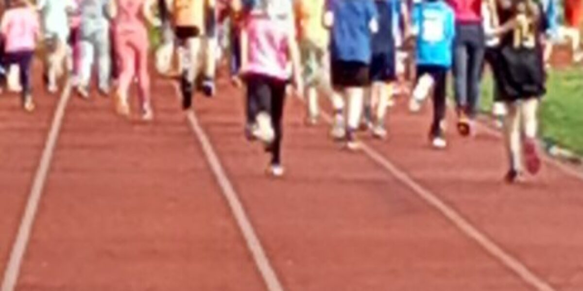 Sportfest