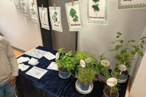 Projektwoche "Gesundheit und Sport"