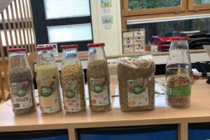 Projektwoche "Gesundheit und Sport"
