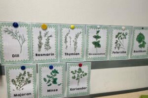 Projektwoche "Gesundheit und Sport"