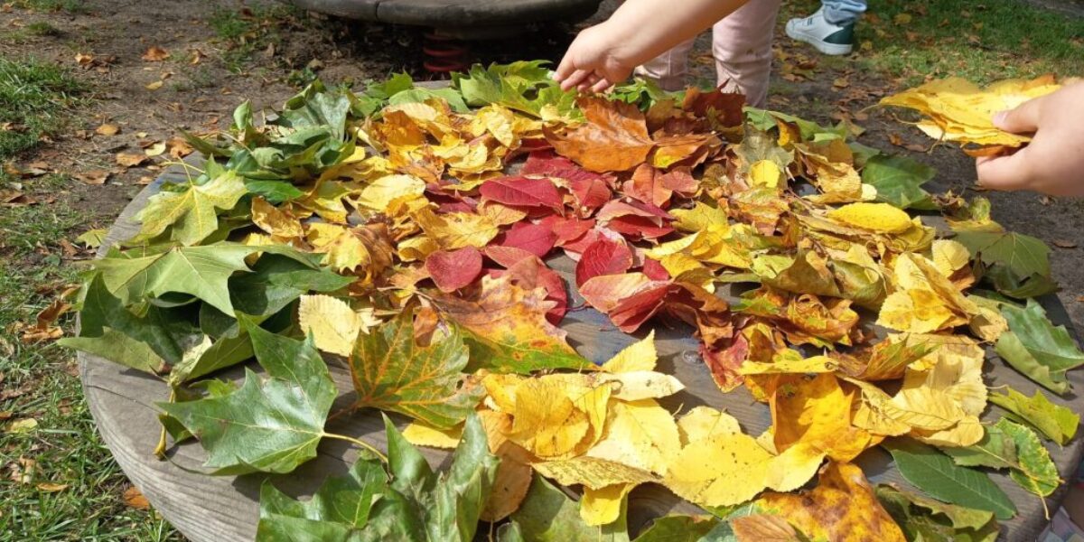 Herbstbild