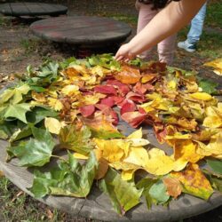 Herbstbild