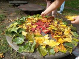 Herbstbild