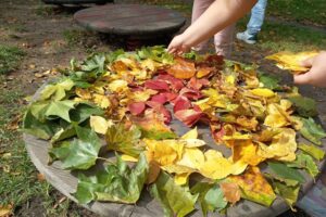 Herbstbild