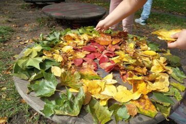 Herbstbild