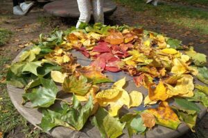 Herbstbild
