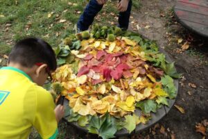 Herbstbild