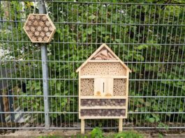 Insektenhaus