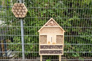 Insektenhaus