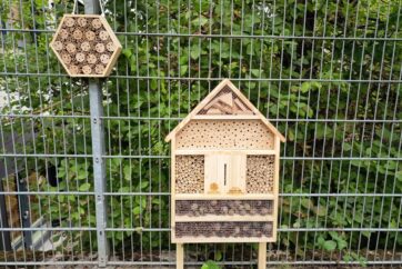 Insektenhaus