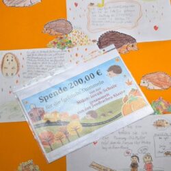 Spende für die Igelstation Stommeln