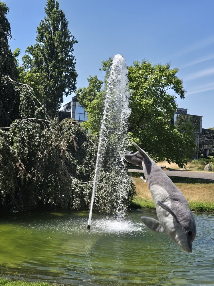 Ausflug Klassen 4 Ausflug Klassen 4